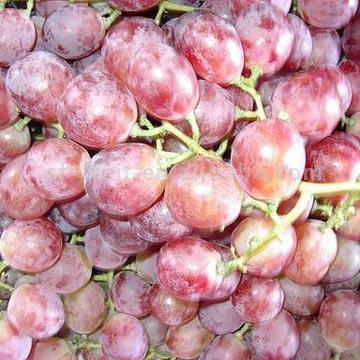 Red Globe Grapes